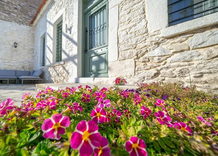 Hibiscus Theologos (Thasos)